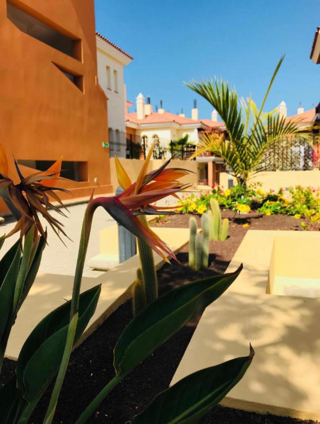 Apartmán Selena Luxury Monte Carrera La Playa de Arguineguín Exteriér fotografie